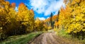 Fall colour, Autumn road