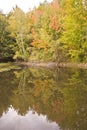 Fall colour reflection on water Royalty Free Stock Photo