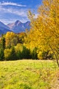 Fall coloured trees near Zdiar village under Belianske Tatras mountains during autumn Royalty Free Stock Photo