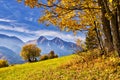 Fall coloured trees near Zdiar village under Belianske Tatras mountains during autumn Royalty Free Stock Photo