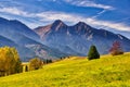 Fall coloured trees near Zdiar village under Belianske Tatras mountains during autumn Royalty Free Stock Photo