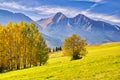 Fall coloured trees near Zdiar village under Belianske Tatras mountains during autumn Royalty Free Stock Photo