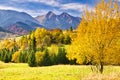 Fall coloured trees near Zdiar village under Belianske Tatras mountains during autumn Royalty Free Stock Photo