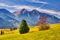 Fall coloured trees near Zdiar village under Belianske Tatras mountains during autumn Royalty Free Stock Photo