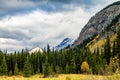 Fall colours along the Icefields Parkway. Banff National Park, Alberta, Canada Royalty Free Stock Photo