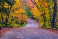 Fall Colours at Algonquin, Ontario Royalty Free Stock Photo