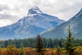 Fall colours in all their splender along the Bow Valley Parkway. Banff National Park Alberta Canada Royalty Free Stock Photo