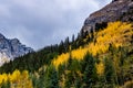 Fall colours in all their splender along the Bow Valley Parkway. Banff National Park Alberta Canada Royalty Free Stock Photo