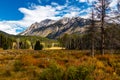 Fall colours in all their splender along the Bow Valley Parkway. Banff National Park Alberta Canada Royalty Free Stock Photo
