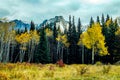 Fall colours along the Bow Valley Parkway. Banff National Park, Alberta, Canada Royalty Free Stock Photo