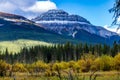 Fall colours in all their splender along the Bow Valley Parkway. Banff National Park, Alberta, Canada Royalty Free Stock Photo