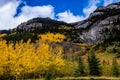 Fall colours in all their splender along the Bow Valley Parkway. Banff National Park, Alberta, Canada Royalty Free Stock Photo