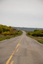 Fall Colours along the roadway in Qu'Appelle Valley, Saskatchewan, Canada