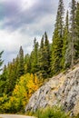 Fall colors Vermillion Lakes, Banff National Park, Alberta, Canada Royalty Free Stock Photo