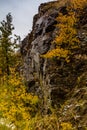 Fall colours Vermillion Lakes, Banff National Park, Alberta, Canada Royalty Free Stock Photo