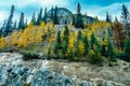 Fall colours around Vermillion Lakes, Banff National Park, Alberta, Canada Royalty Free Stock Photo