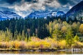 Fall colours around Vermillion Lakes, Banff National Park, Alberta, Canada Royalty Free Stock Photo