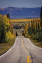 Fall colours at Cedar Breaks