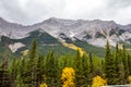 Fall colours creep up Fortress Mountain. Spray Valley Provincial Park, Alberta, Canada