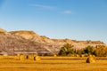 Fall colours dot the badlands. Tolman Badlands Heritage Rangeland Natural Area Alberta Canada