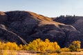 Fall colours dot the badlands. Tolman Badlands Heritage Rangeland Natural Area Alberta Canada