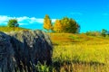 Fall colours in a farmers field. MD of Foothills,Alberta,Canada Royalty Free Stock Photo