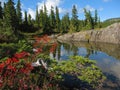 Strathcona Provincial Park, Vancouver Island, Fall Foliage at Lake Beautiful on the Forbidden Plateau, British Columbia, Canada Royalty Free Stock Photo