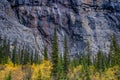 Weeping wall, Banff National Park, Alberta, Canada Royalty Free Stock Photo