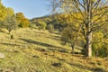 Fall colours at Hrochotska dolina valley at Polana mountains