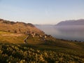 Fall Colours in Lavaux At Dusk