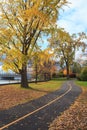 Fall Colours in Ottawa Royalty Free Stock Photo