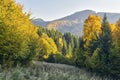 Fall colours at Polana mountains