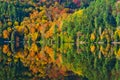 Fall Colours Reflected in Lake Royalty Free Stock Photo
