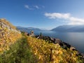 Fall Colours at Saint-Saphorin in Lavaux in Switze Royalty Free Stock Photo