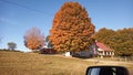 Fall Colours in Tennessee Royalty Free Stock Photo