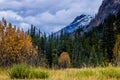 Taken from along the Ice Fields Parkwayl Banff National Park, Alberta, Canada Royalty Free Stock Photo