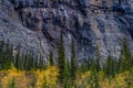 Fall colours at the Weeping Wall. Banff National Park Alberta Canada Royalty Free Stock Photo