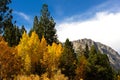 Fall Comes To The Eastern Sierra's