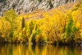 Fall Comes To The Eastern Sierra's