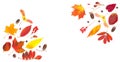 Fall composition border with autumn leaves isolated on white Royalty Free Stock Photo