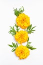 Fall composition. orange flowers on white background. flat lay, vertical frame Royalty Free Stock Photo