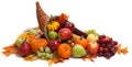 Fall cornucopia on a White back ground