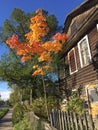 Fall in a countryside