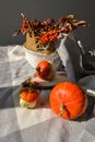 Little decorative ugly pumpkins. Fall cozy photo halloween concept