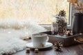 Fall cozy still life on windowsill at home interior. Cup of coffee at home warm fluffy furskin. Hygge.