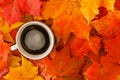 Fall creative art concept, maple leaves on table