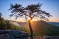 Fall Creek Falls, sunburst, Buzzards Roost