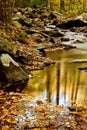 Fall creek with rocks and trees