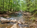 Fall Creek Trail at Mayo River State Park