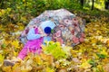 Fall. Cute child girl playing with fallen leaves in autumn Royalty Free Stock Photo
